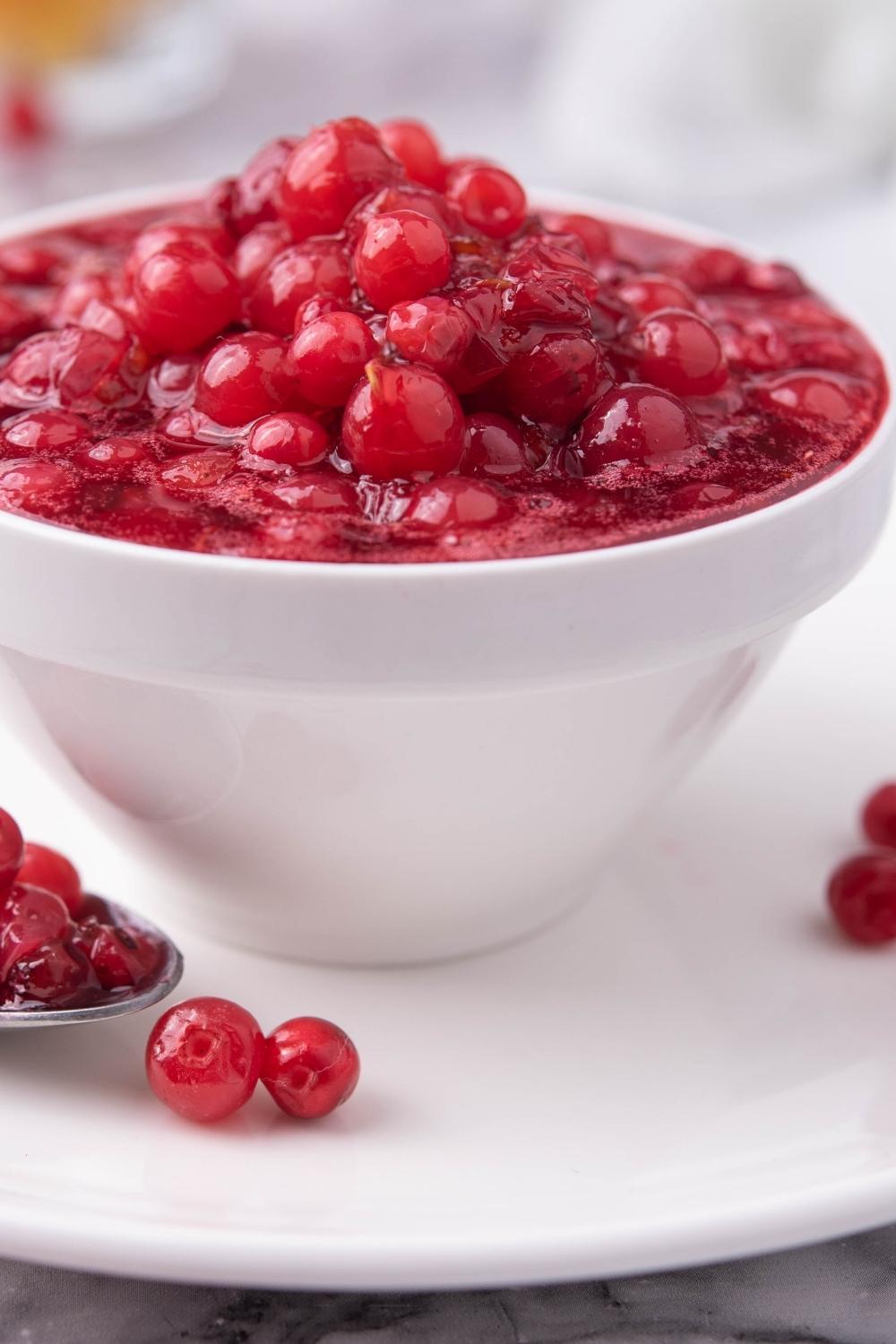 Make Ocean Spray Jellied Cranberry Sauce From Scratch: This Easy Recipe Will Impress Your Guests
