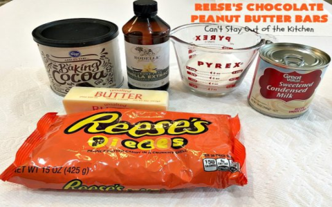 Craving Reeses Peanut Butter Chocolate Revel Bars? (Heres How To Make Them Easily At Home Easily)