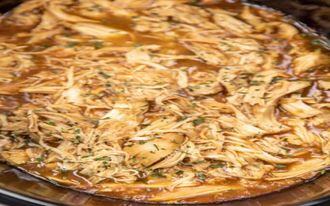 How to Make Perfect Brothy Caramelised Onion Chicken with Rice