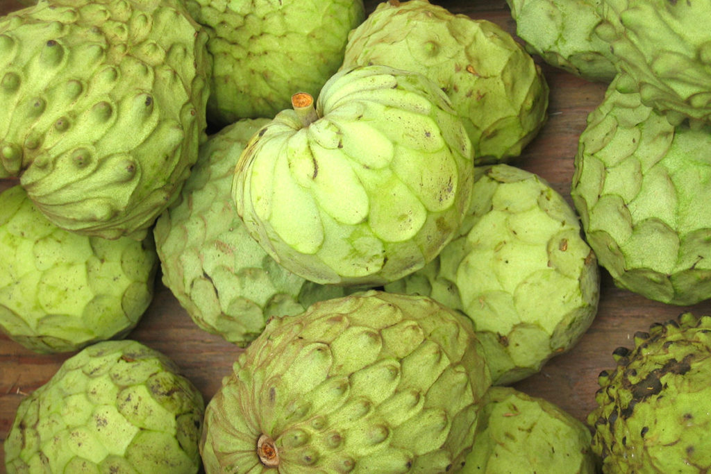 Discover the Mystery:Green Fruit with Black Seeds Inside Explained.