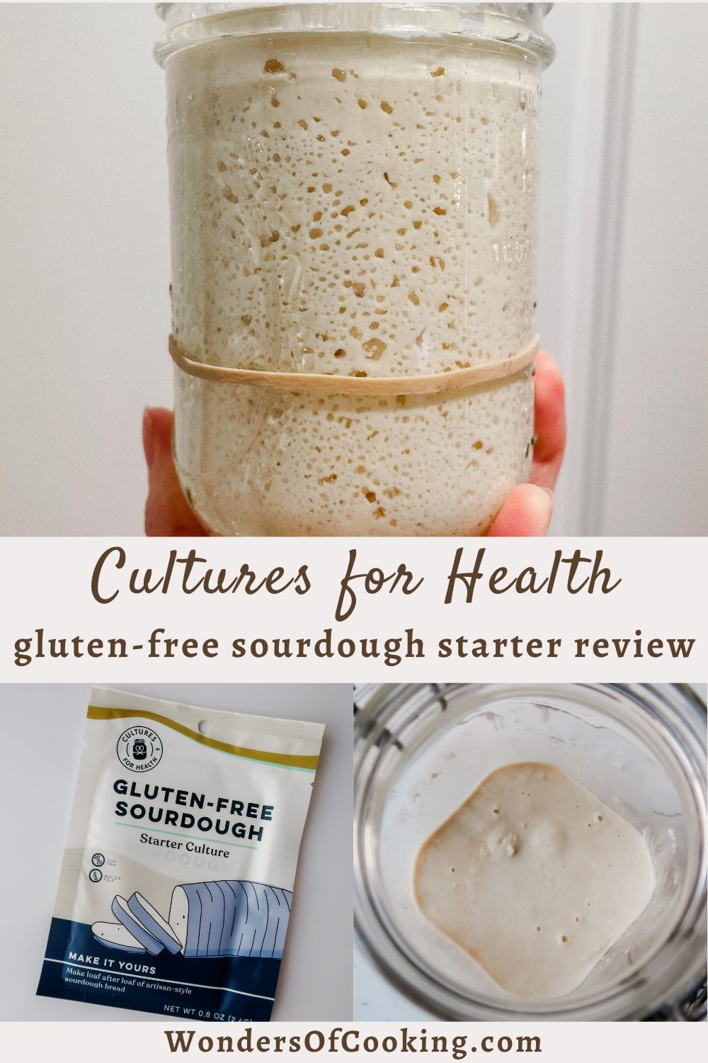 Looking for Gluten-Free Sourdough Starter? Heres Where to Find It!