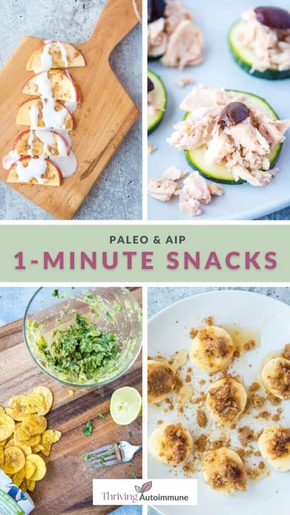 Quick AIP Snack Recipes! Simple Treats for Autoimmune Protocol Diets