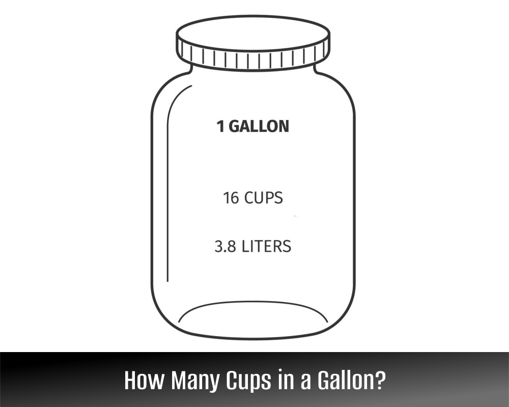 Need to know: how many cups of milk in half gallon? Find out Now!