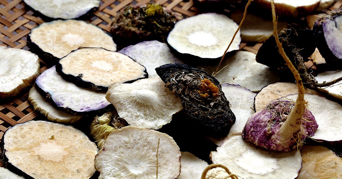 Best Maca Root Recipes: Simple Ways to Boost Energy Naturally