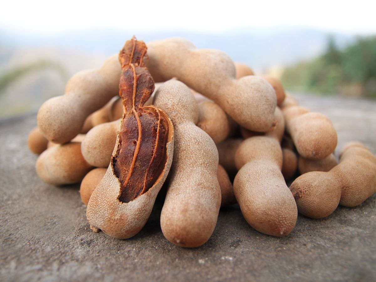 Yummy Tamarind Concentrate: Make It at Home, Quick & Easy Guide!