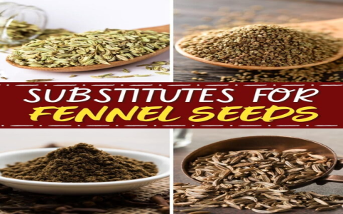 The Ultimate Guide to Fennel Seed Substitute for Every Type of Dish Now!