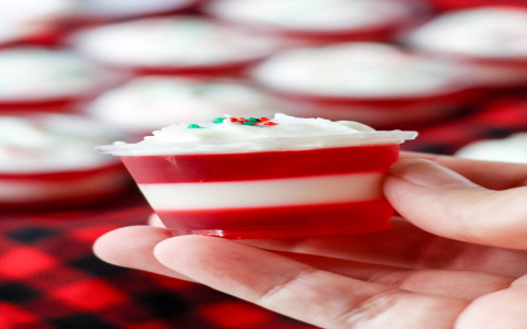Best Whip Shots Recipe: What Vodka is best for whip shots?