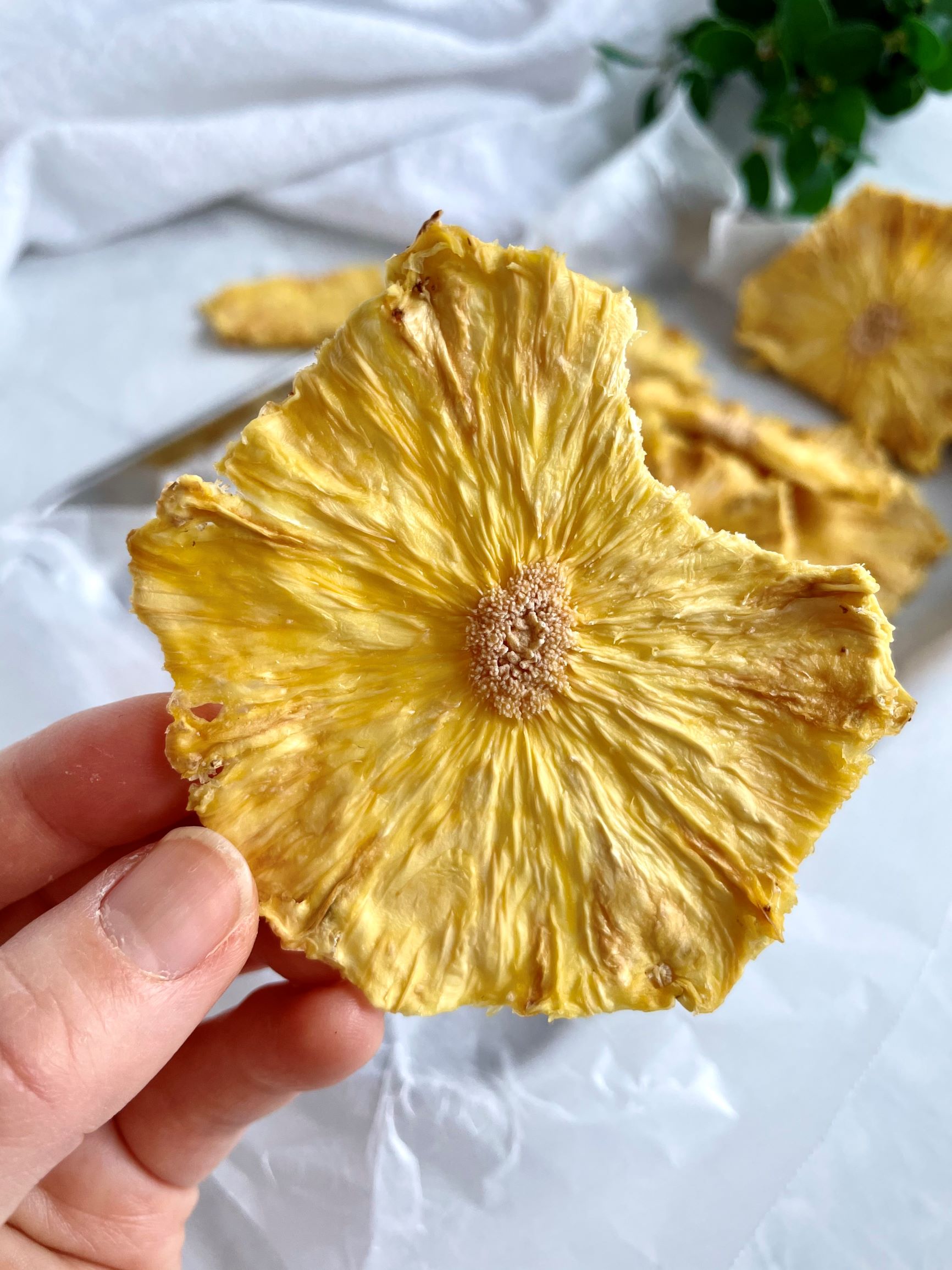 How Long Do You Dehydrate Pineapple for Best Chewy Texture?