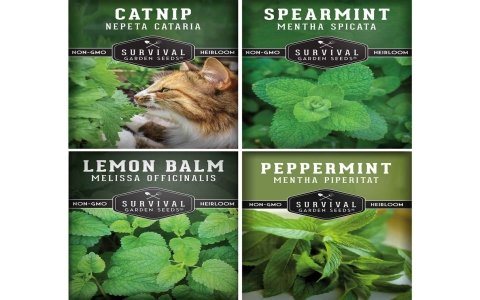 Lemongrass vs. Lemon Balm: Are They the Same Thing? Find Out Here!