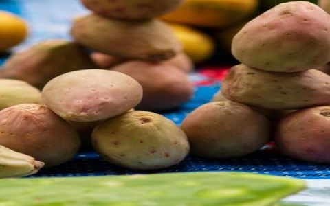 Need Fruits Starting With K? Simple Guide to Common and Rare Finds!