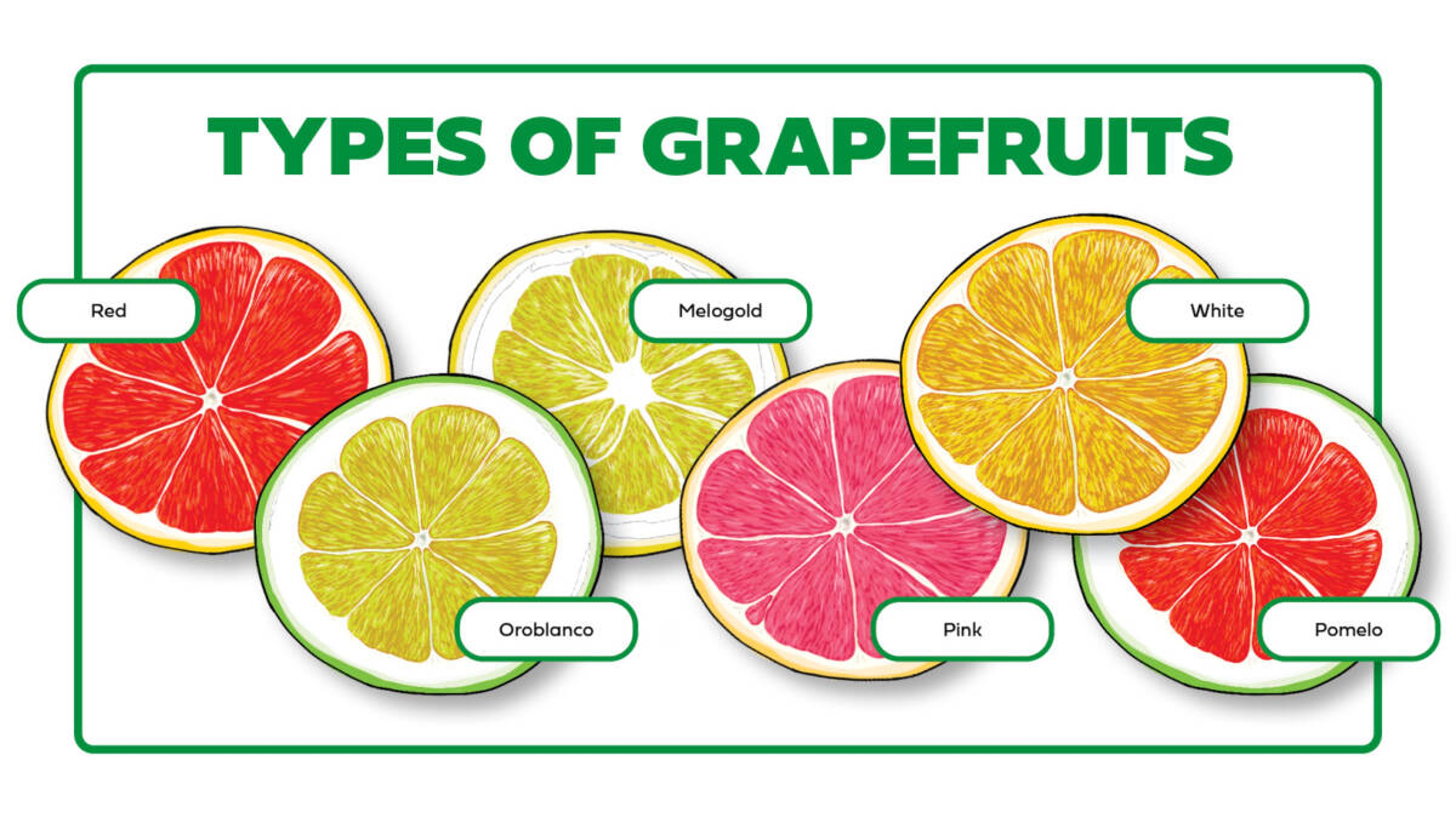 White Grapefruit vs Pink Grapefruit: Simple Guide to Their Juicy Differences.