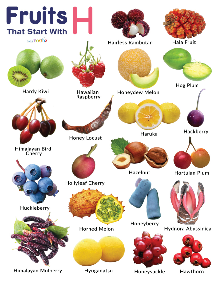 Looking for fruit that starts with the letter h? Check This List!