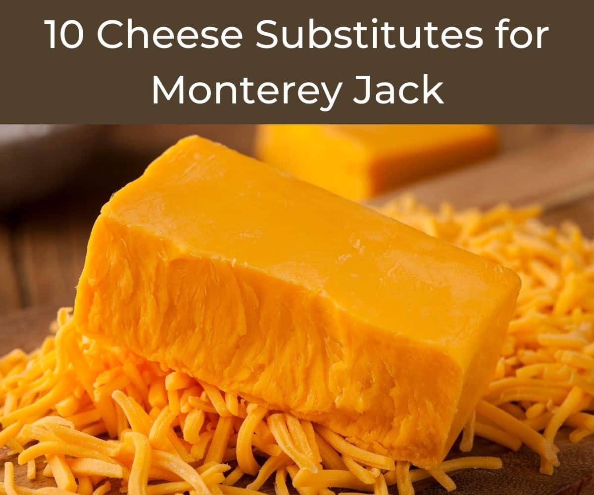 Monterey Jack Cheese Substitute: Easy Swaps for Your Recipes!