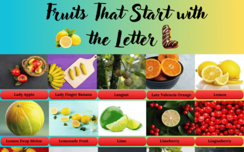 Discover Fruits That Begin With The Letter L: (A Simple Guide of Fruity Start With L)