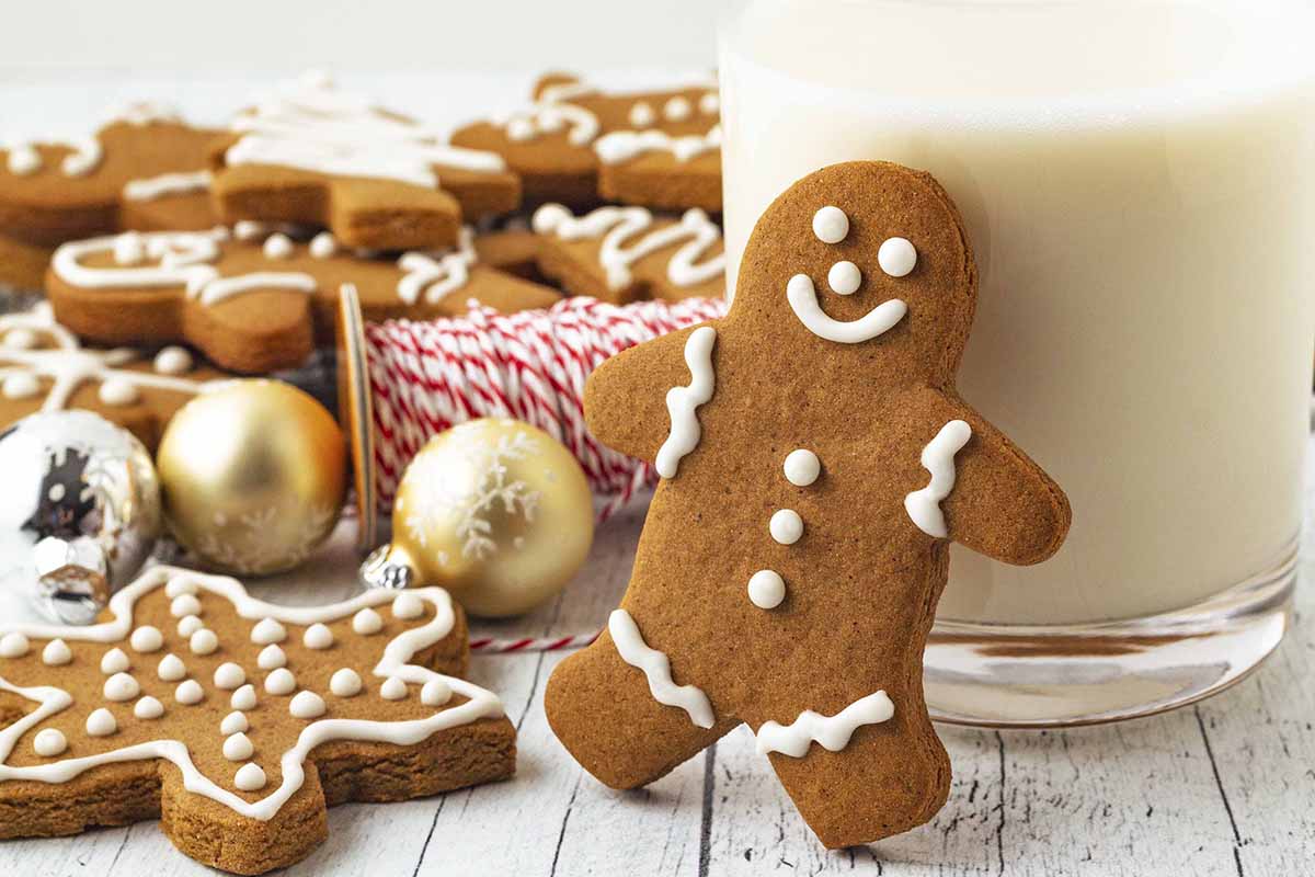 Bake Delicious Dairy Free Gluten Free Gingerbread Cookies. A Step-by-step Guide.