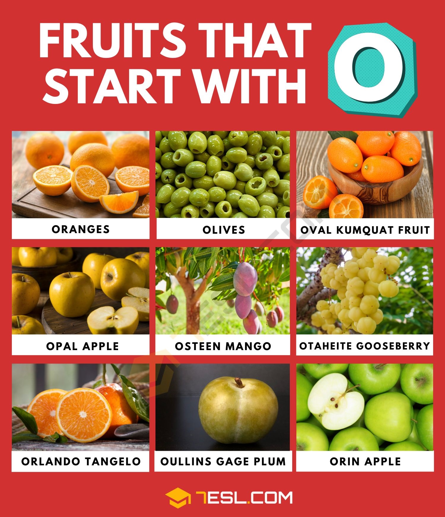 Looking for what fruits start with the letter o? Find it Out!