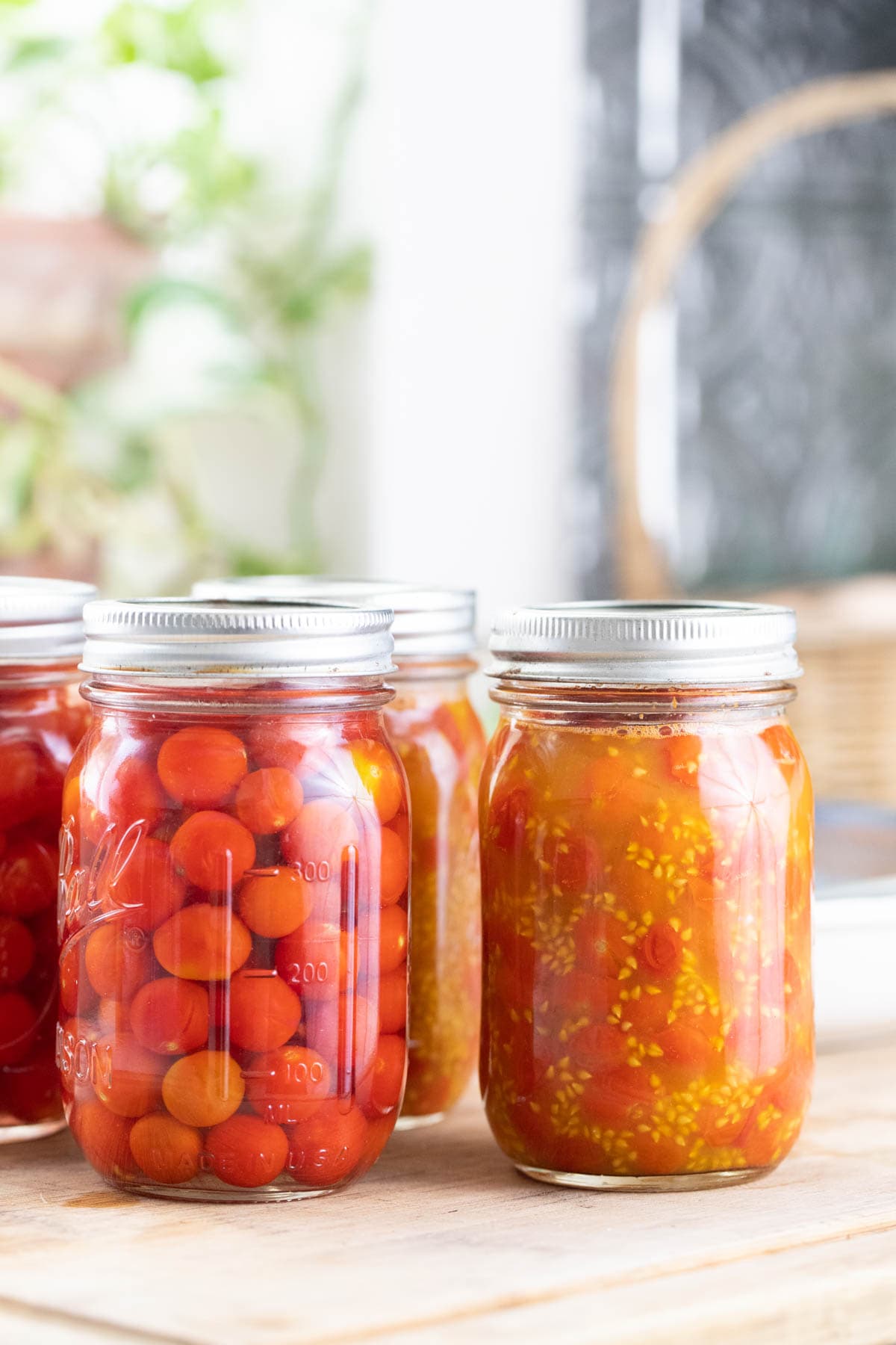 Canning Cherry Tomatoes in Olive Oil: How-To Guide for Beginners!