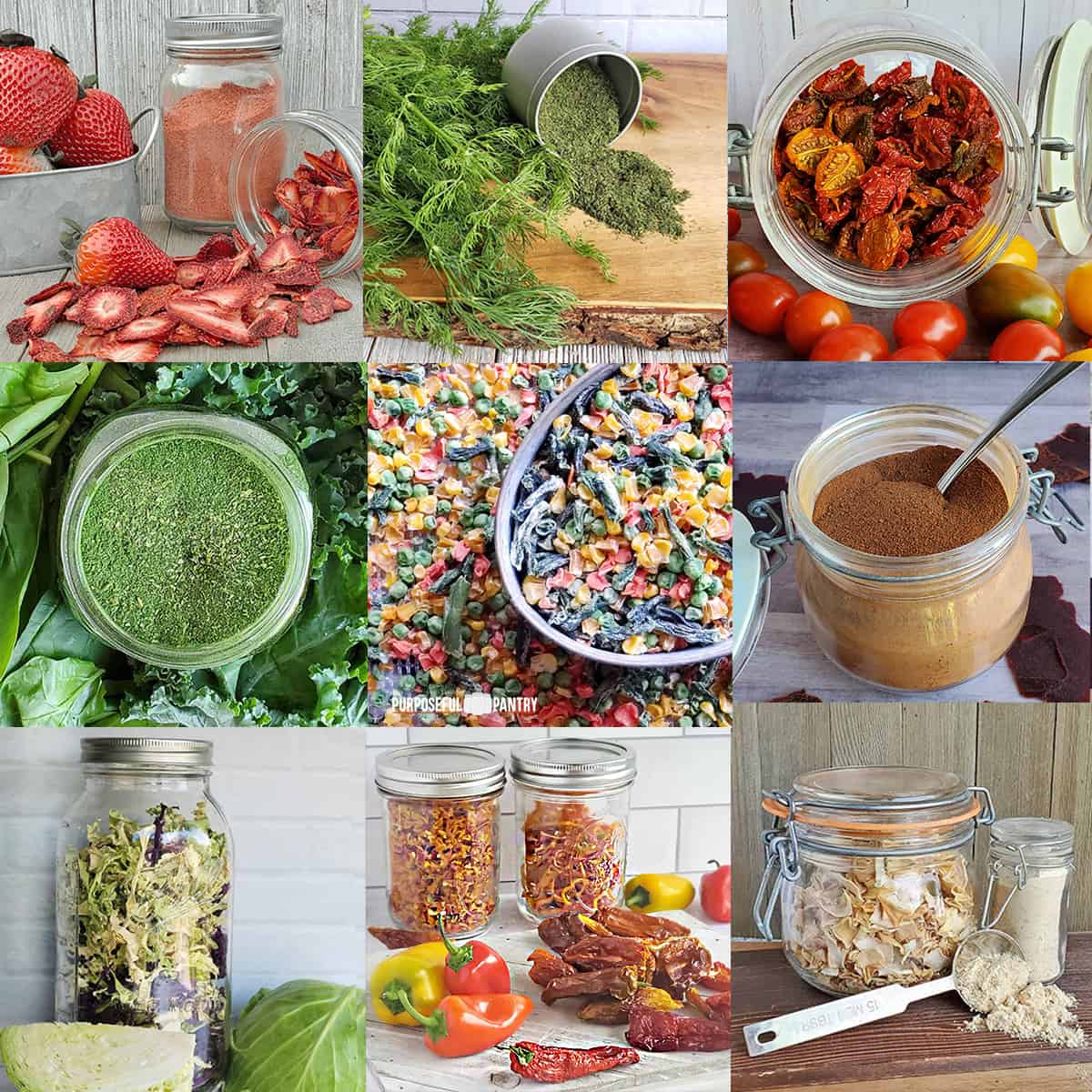 Try These Dehydrated Recipes! (Perfect for Long-Term Storage)