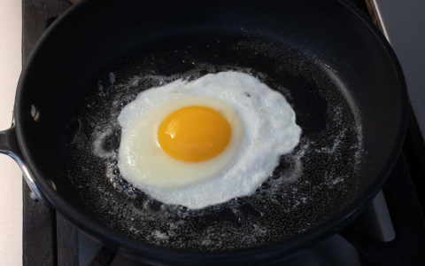 Get the Facts: Complete Nutrition in Eggs Over Easy Breakdown!
