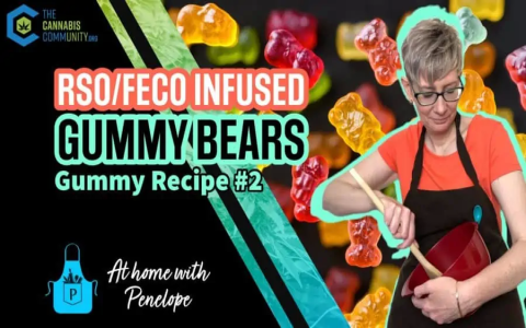Easy Guide: How to Make Gummies with Coconut Oil at Home
