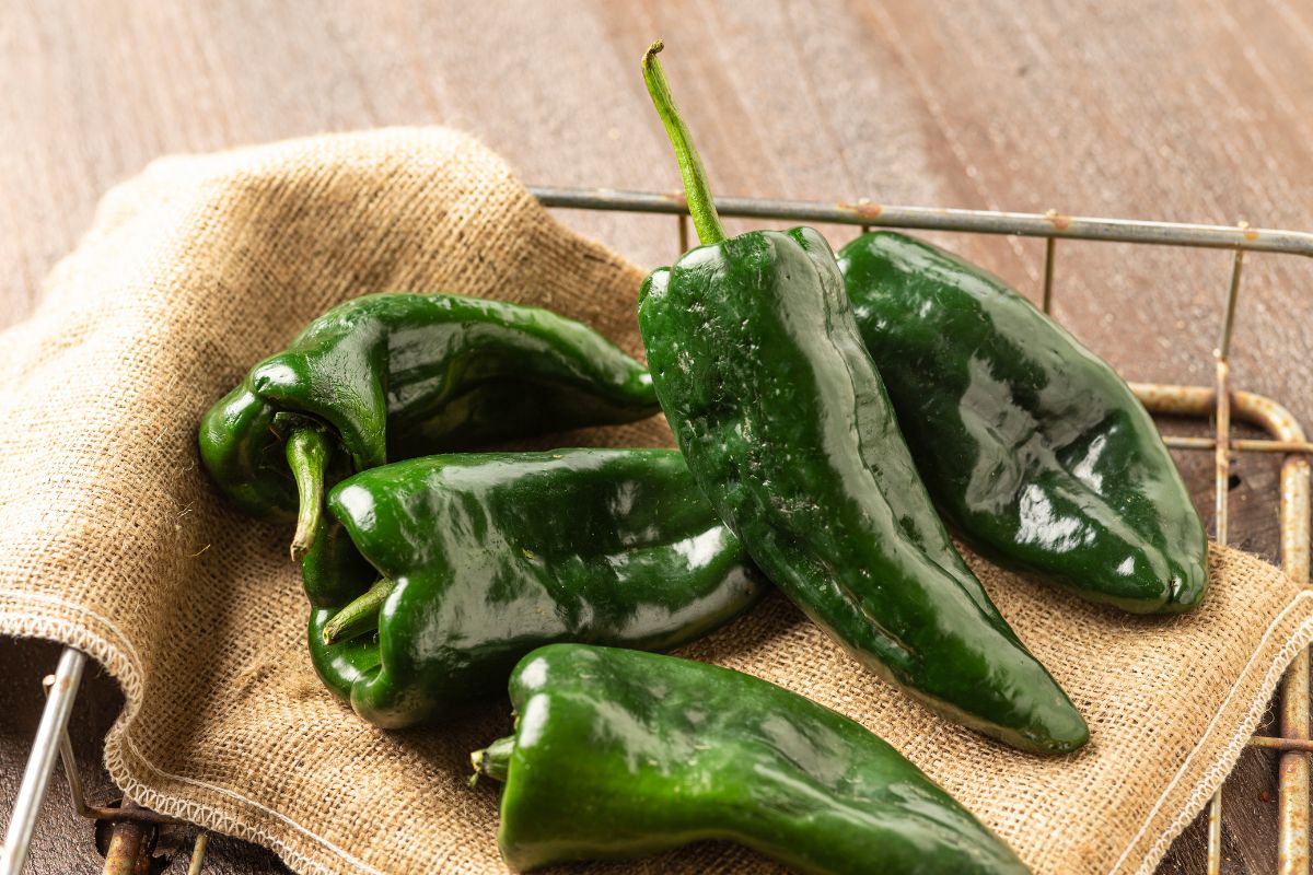Cant Find Poblanos? Use This Poblano Peppers Substitute!