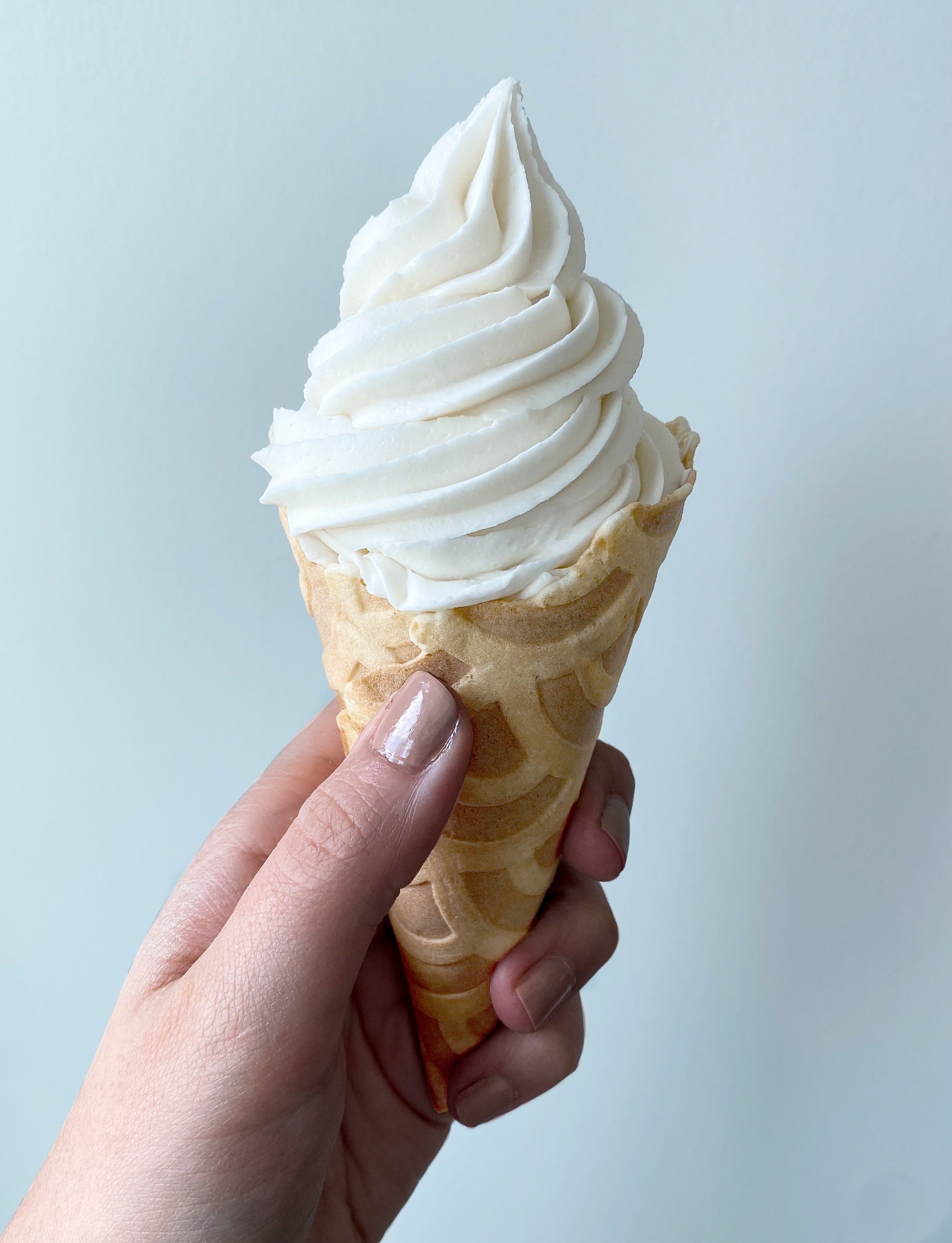 Fun Recipes for Cuisinart Soft Ice Cream Maker | From Classic Vanilla to Exciting Flavors
