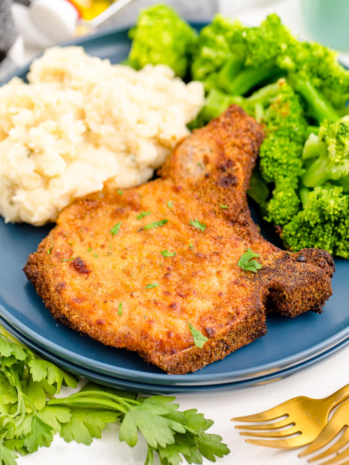 Best Air Fryer Shake and Bake Pork Chops: A Simple Family Favorite Meal.