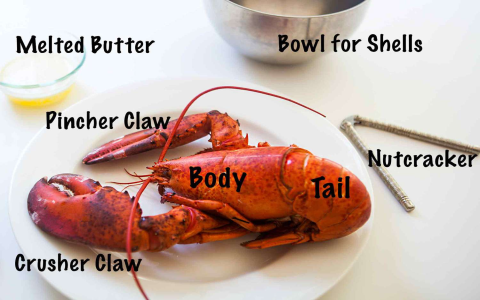 Warm Water vs Cold Water Lobster: What Chefs Prefer & Why It Matters