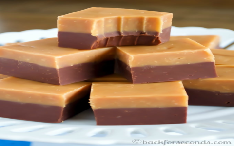 Hersheys Cocoa Peanut Butter Fudge Recipe (The Only Recipe You Will Ever Need)